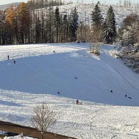 Neu! Luchsrevier, Panoramablick, Gratis Pool * Braunlage